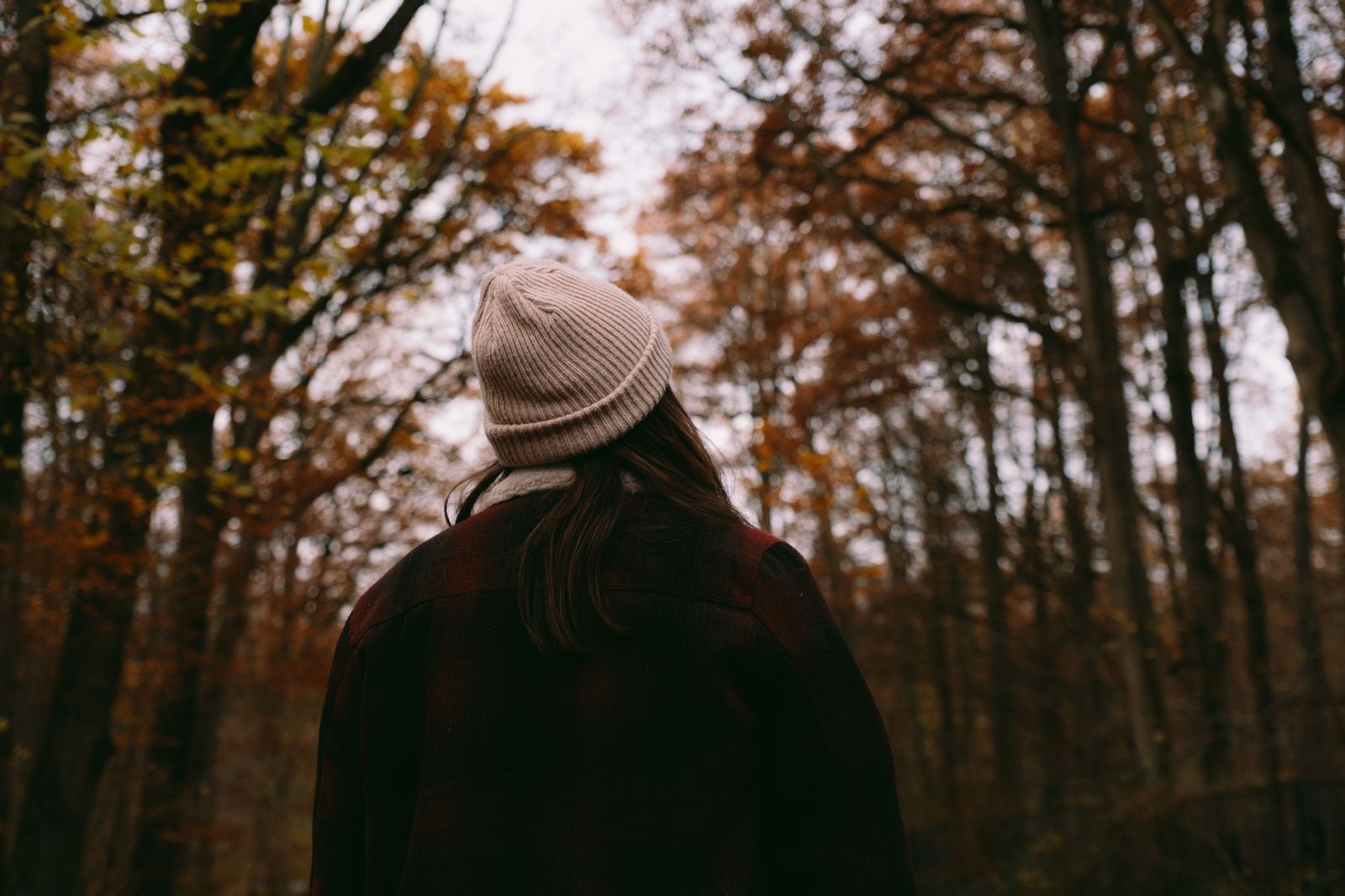 A person seen from behind, looking up at tall trees in a forest
